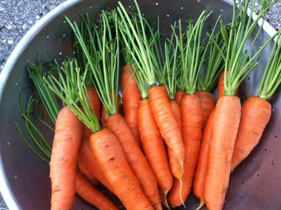 Market Channels for your Farm