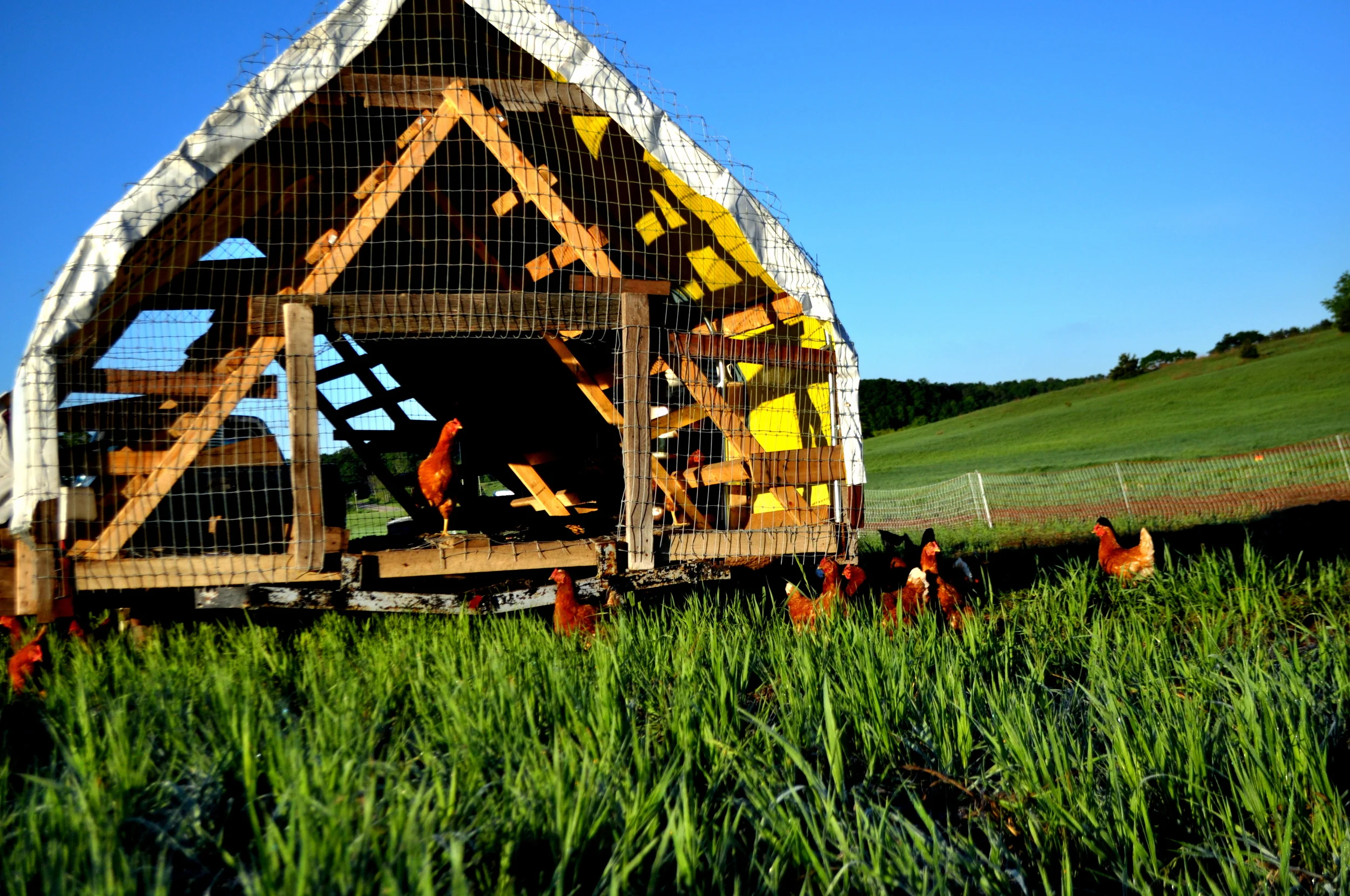 Twilight Tour: Bluestem Farm 