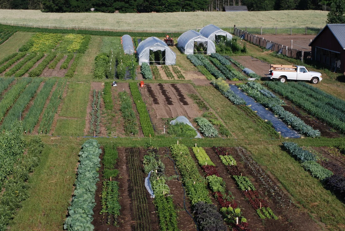 Twilight Tour: Spirit of Walloon 