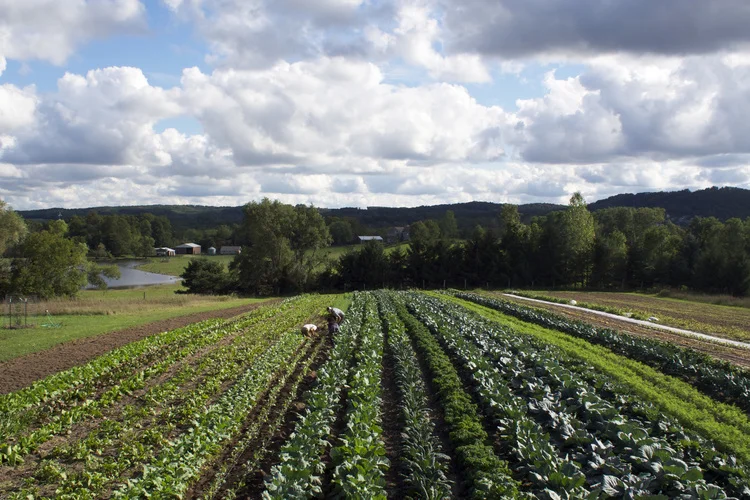 Artist After Hours at Loma Farm 