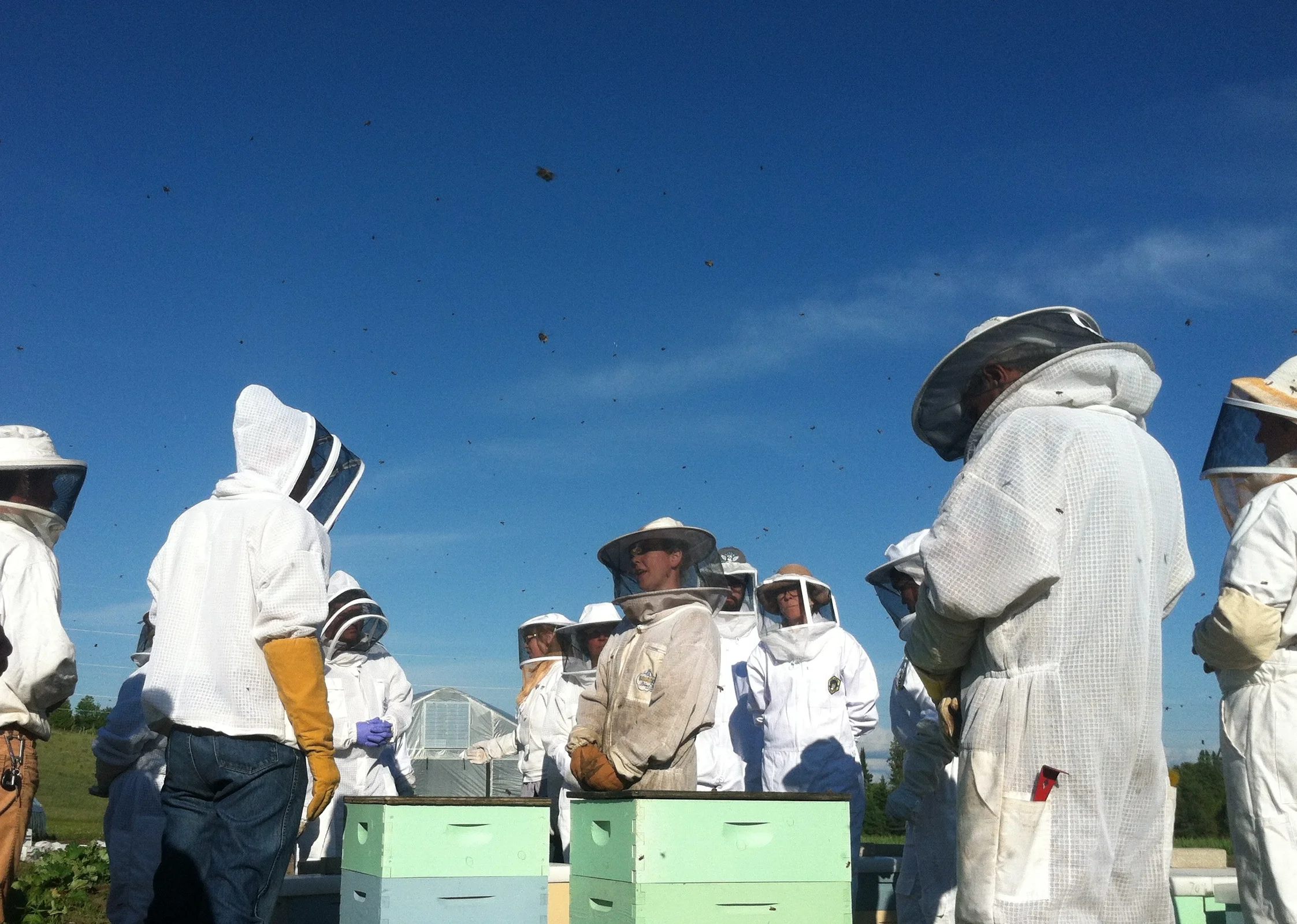 Little Traverse Bay Beekeepers Guild Meeting
