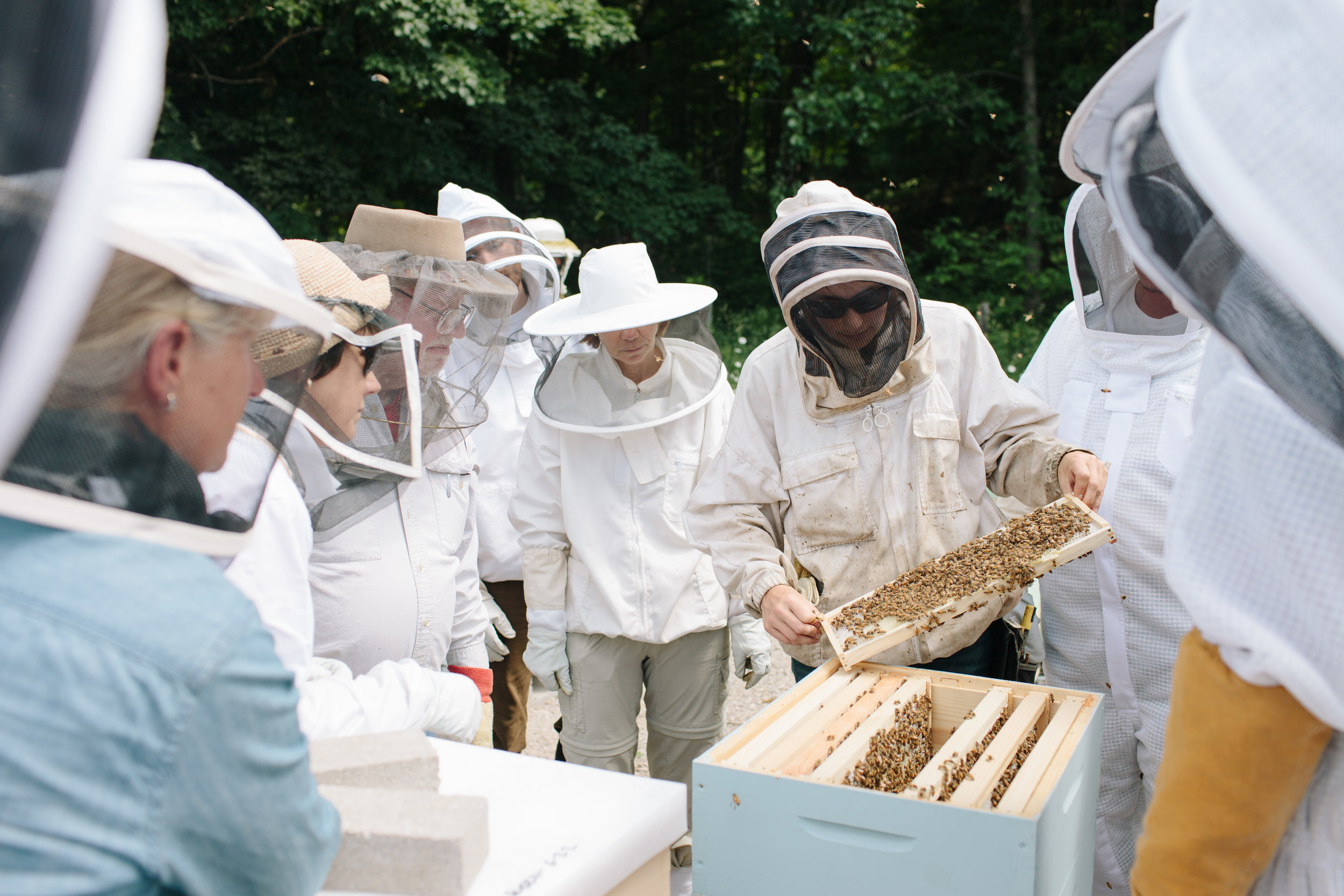 Beekeepers 80.JPG