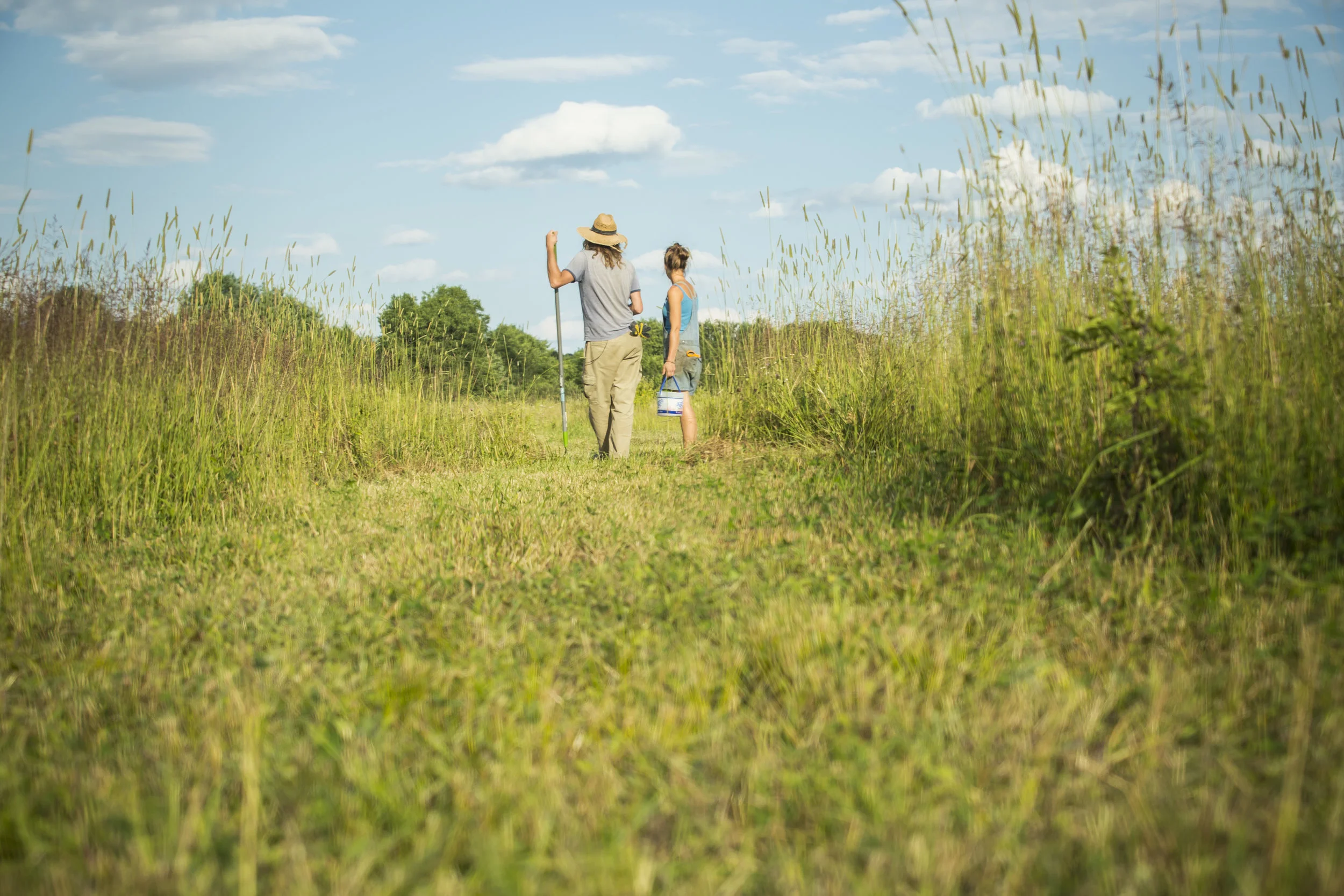 Twilight Tour—Daybreak Dreamfarm