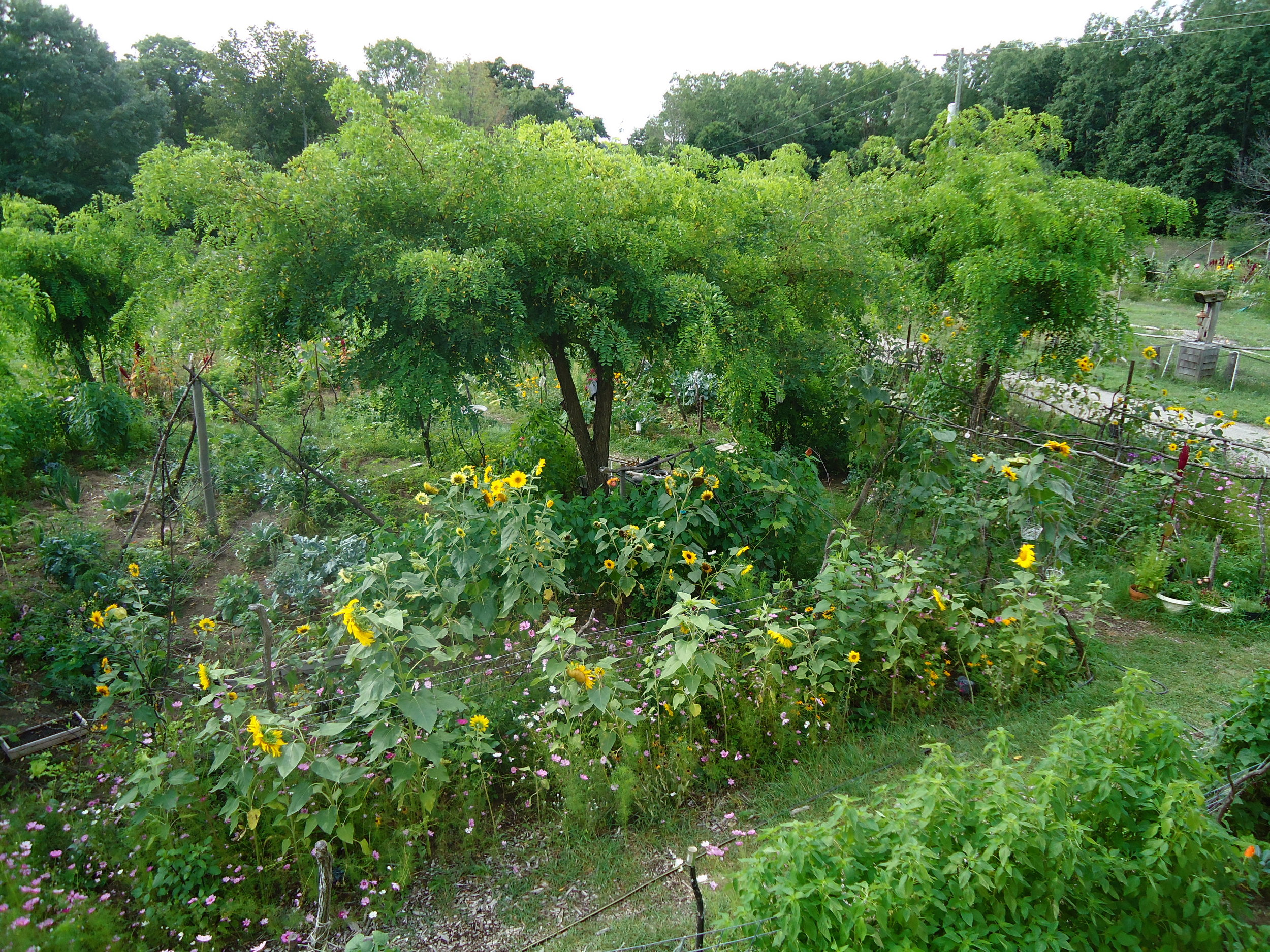 Twilight Tour—Rooted in Permaculture