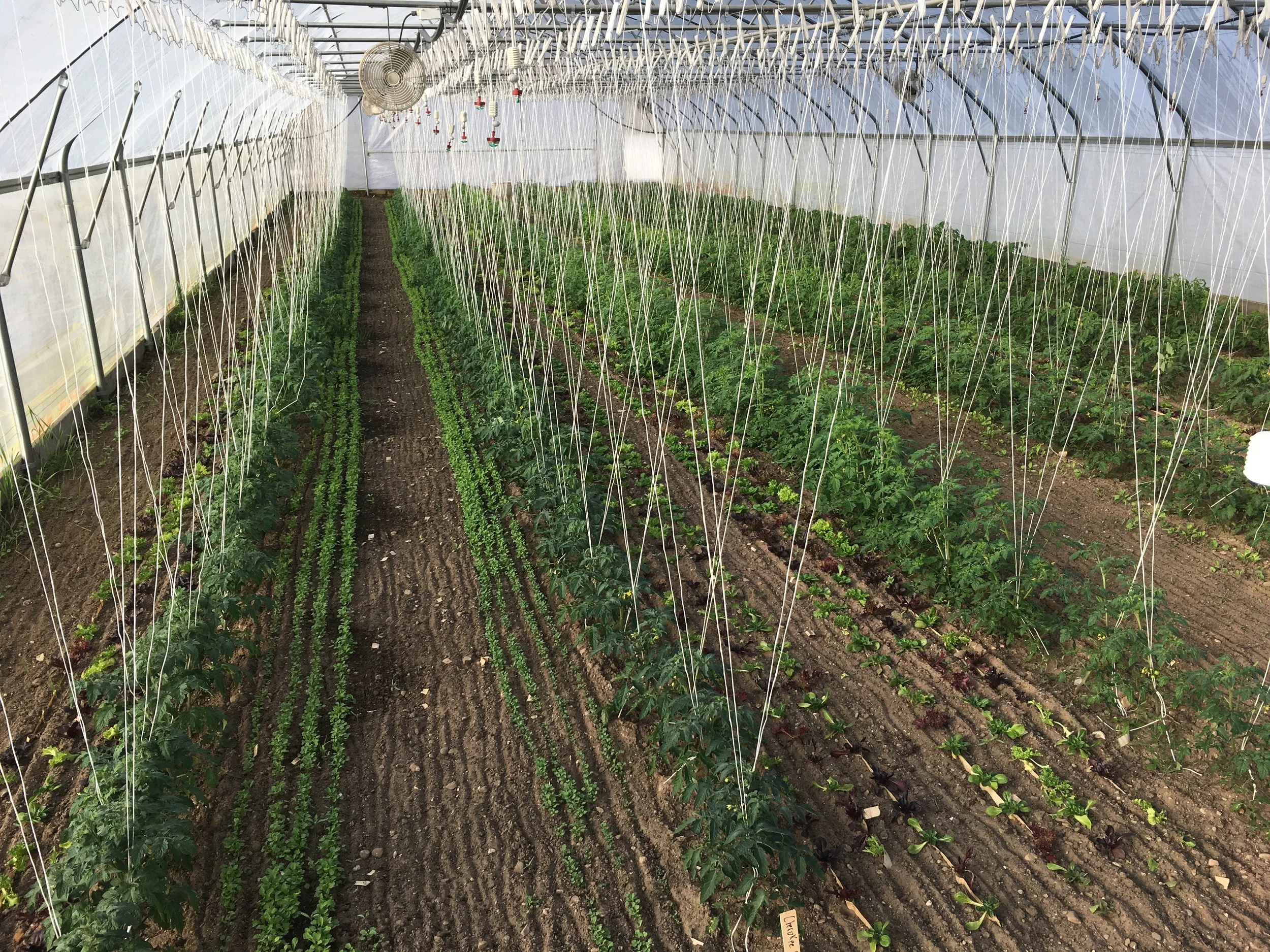 Twilight Tour—Extending Agriculture