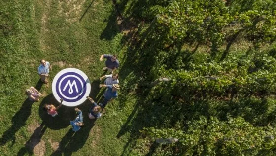 Artist After Hours: Storytelling Circles in the Vines