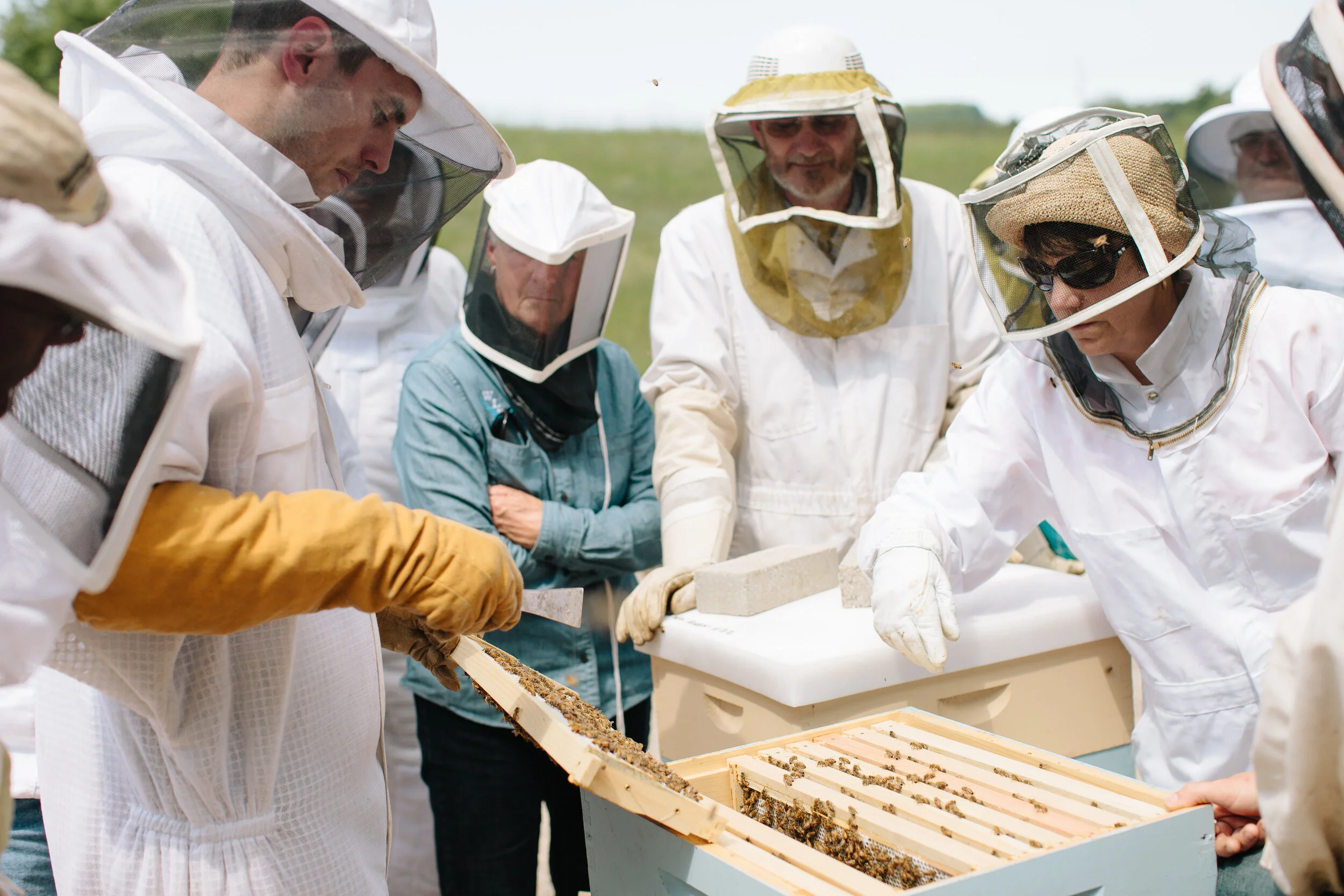  Grand Traverse Beekeeping Club Meeting