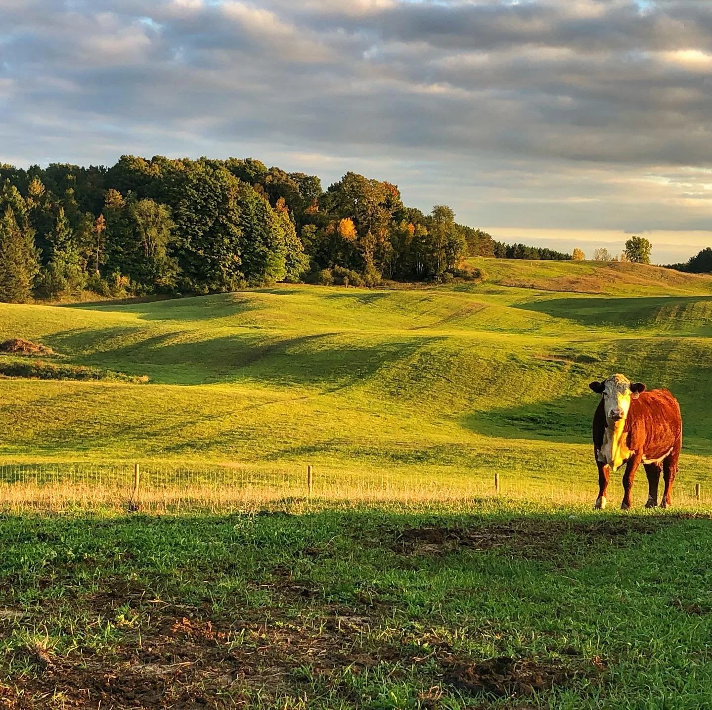 Twilight Tour at the Weinrich Farm