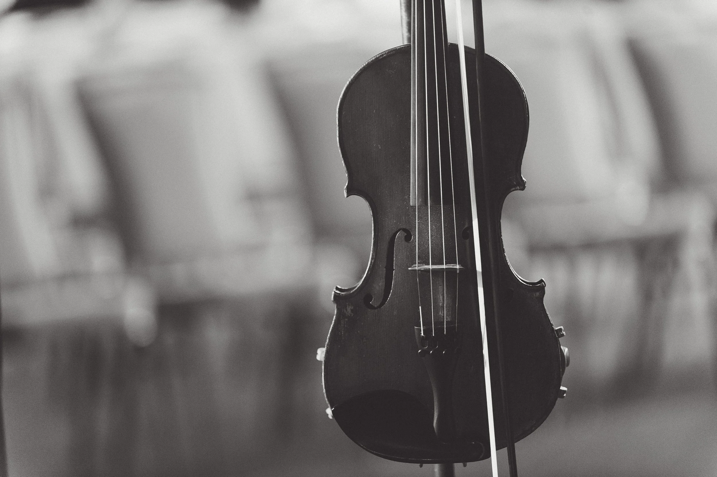 Crosshatch Center for Art and Ecology Awarded MCACA Grant