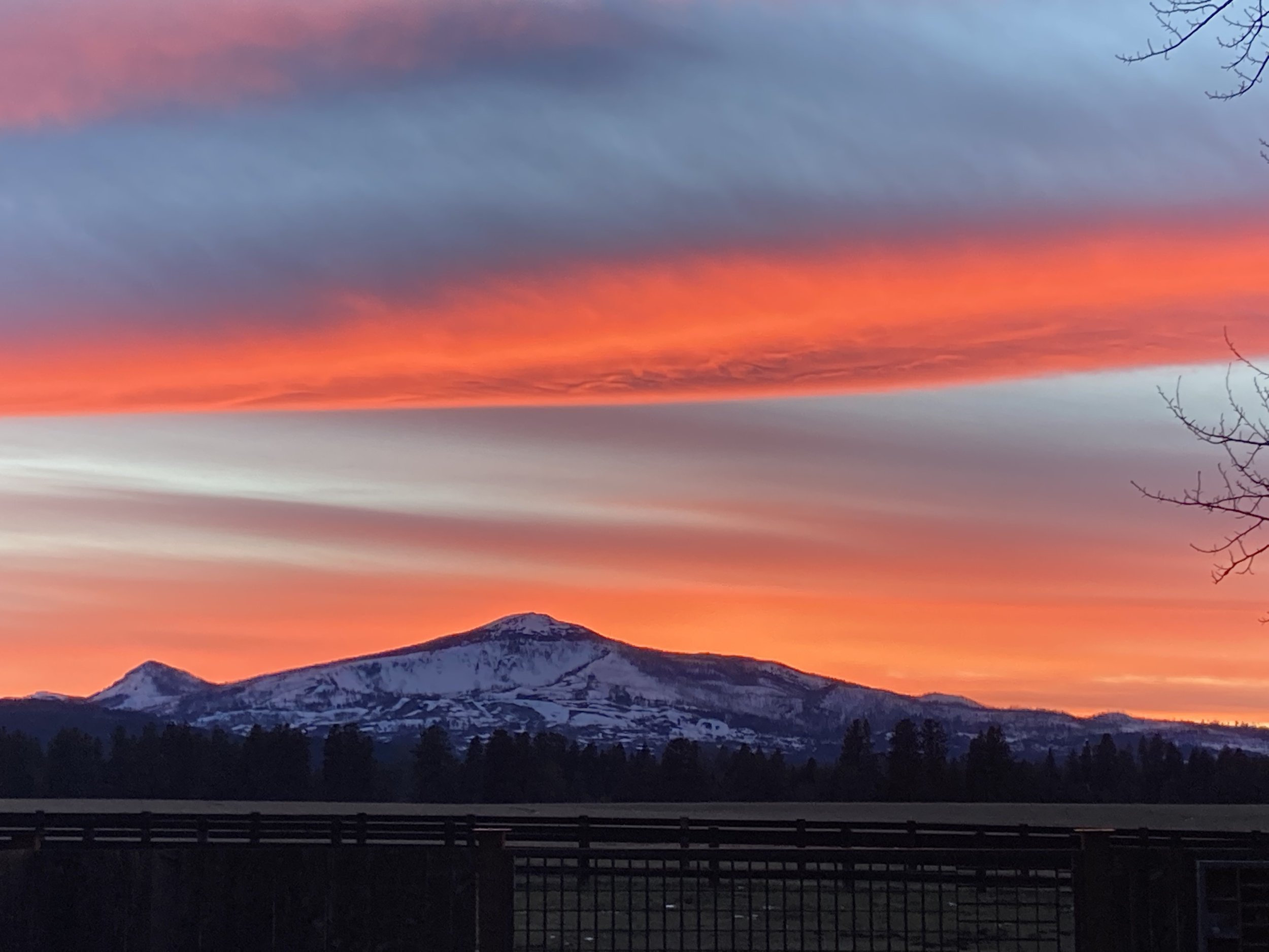 Brad Kik Awarded 2022 Pine Meadow Ranch Center for Arts & Agriculture Artist Residency