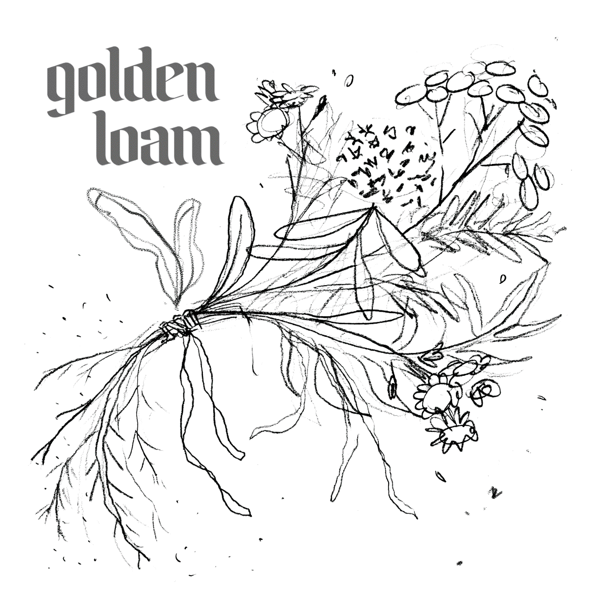 The Whole Field • Volume 1 • No. 11 • Full Moon • October 9th, 2022