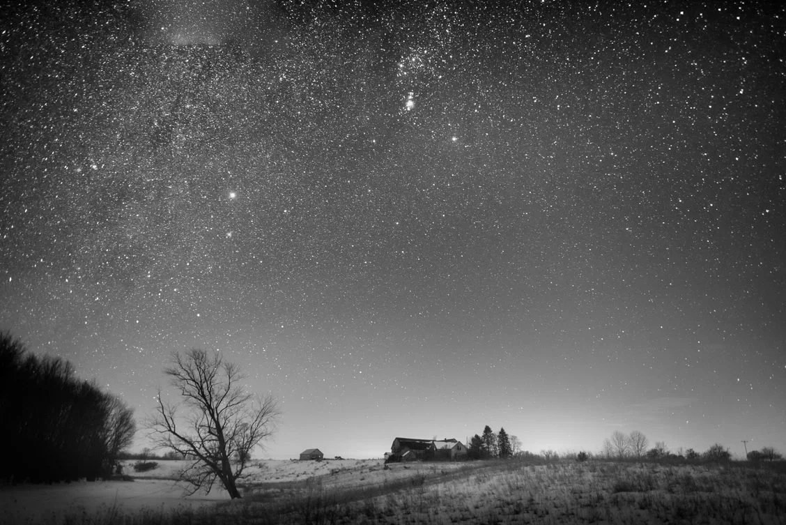 The Whole Field • Volume 1 • No. 14 • New Moon • November 23rd, 2022