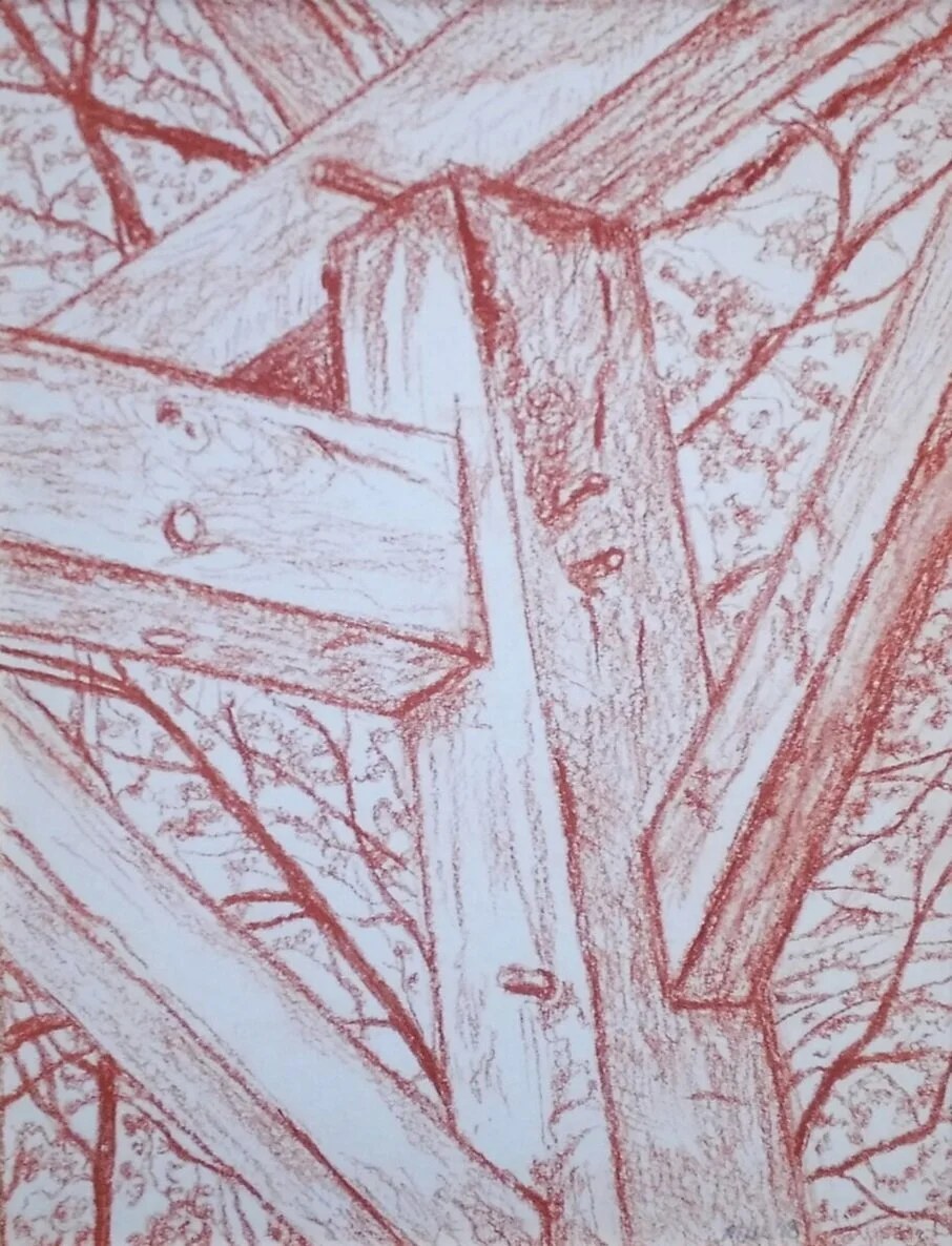 The Whole Field • Volume 2 • No. 2 • Super New Moon • January 21st, 2023