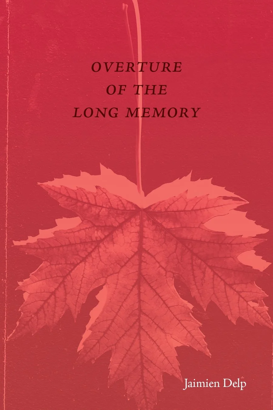 The Whole Field • Volume 2 • No. 6 • New Moon • March 21st, 2023