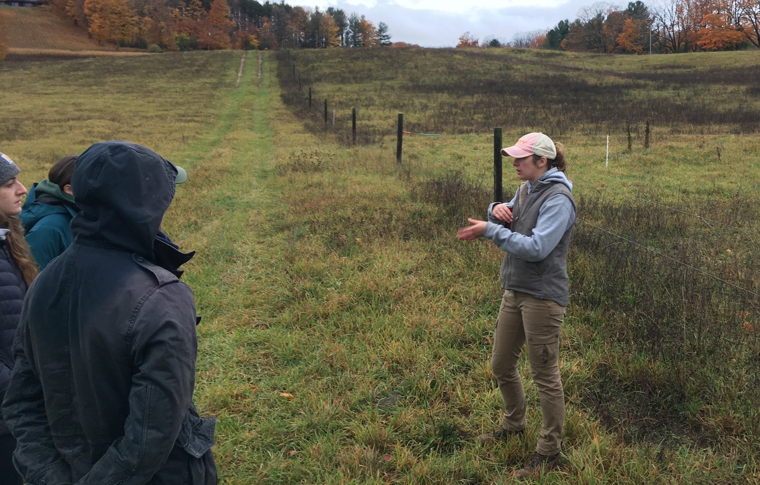  Land Management and Biochar for Carbon Sequestration