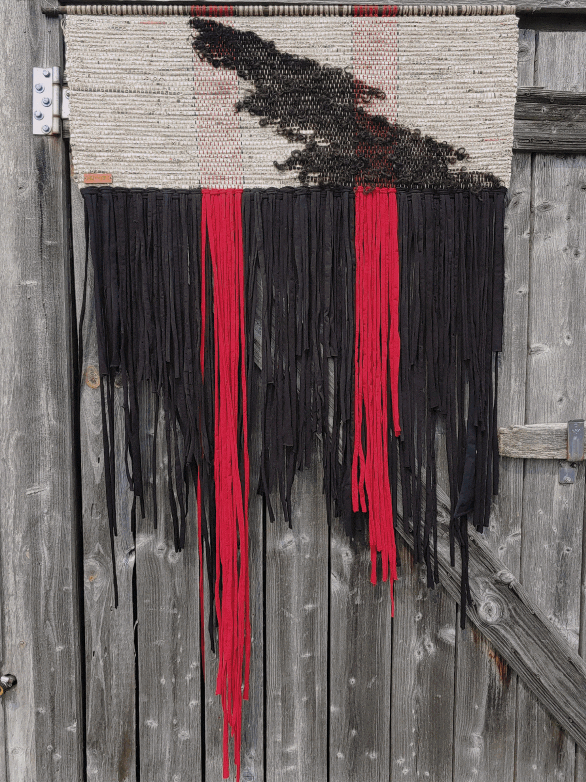 The Whole Field • Volume 2 • No. 23 • Full Moon • November 27, 2023 