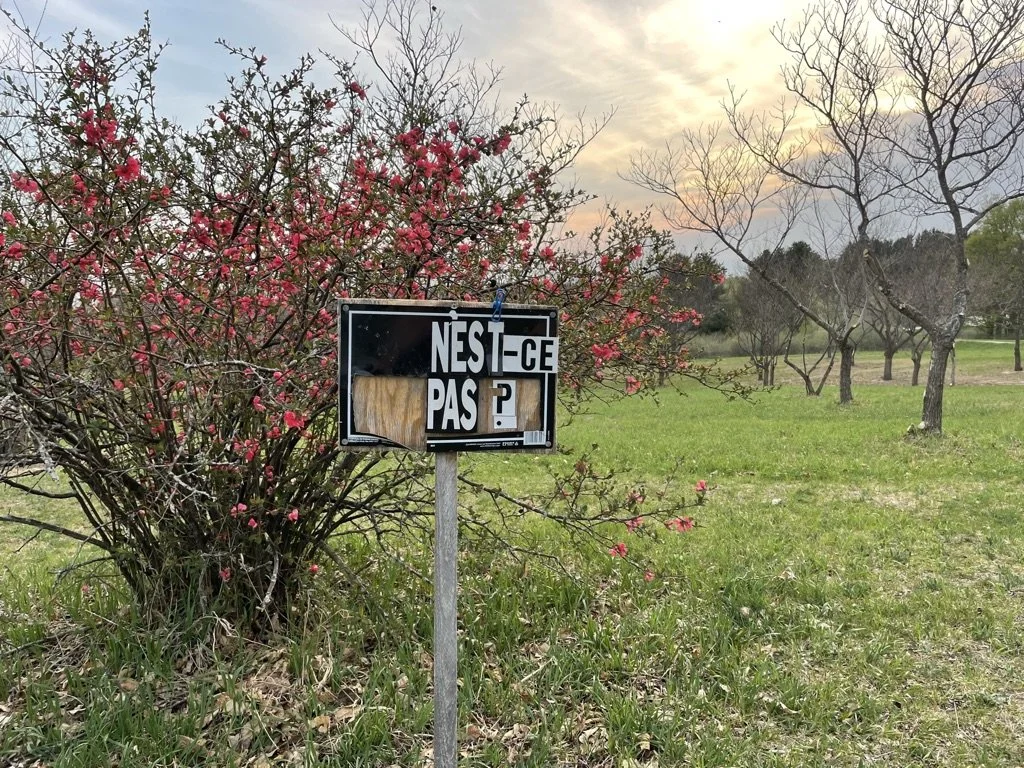 The Whole Field • Volume 3 • No. 1 • New Moon • January 11, 2024  