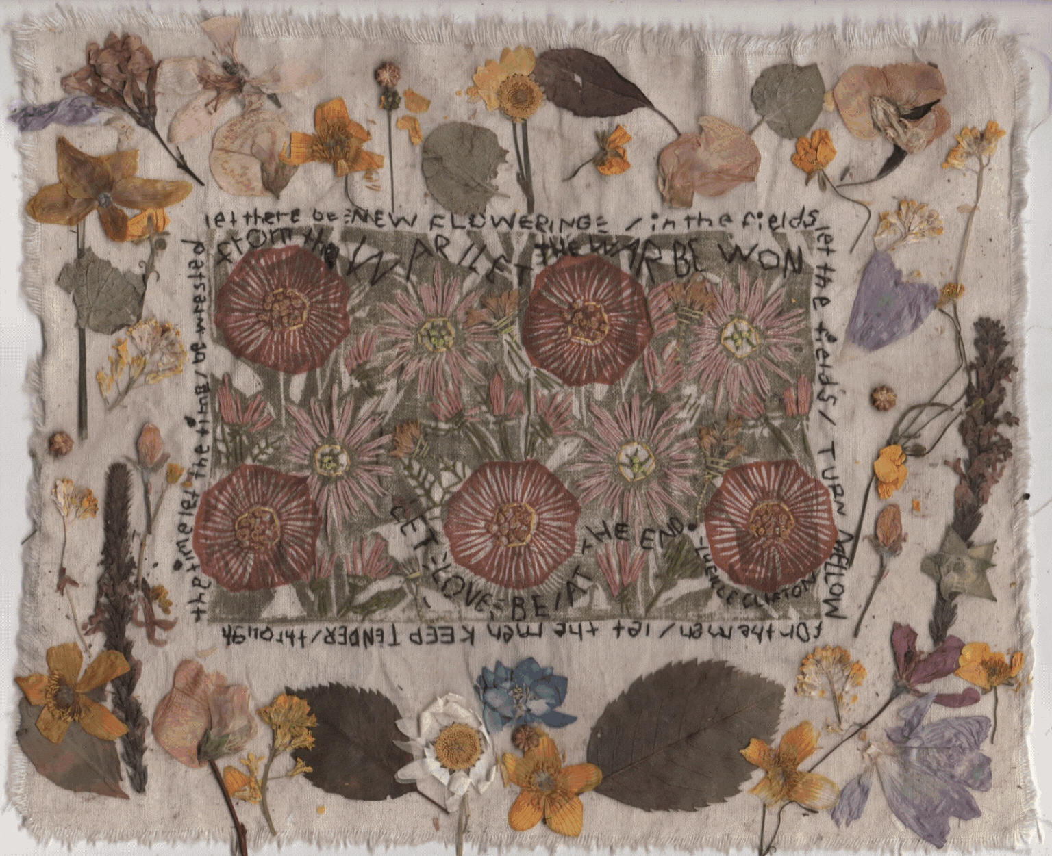 The Whole Field • Volume 3 • No. 2 • Full Moon • January 25, 2024 