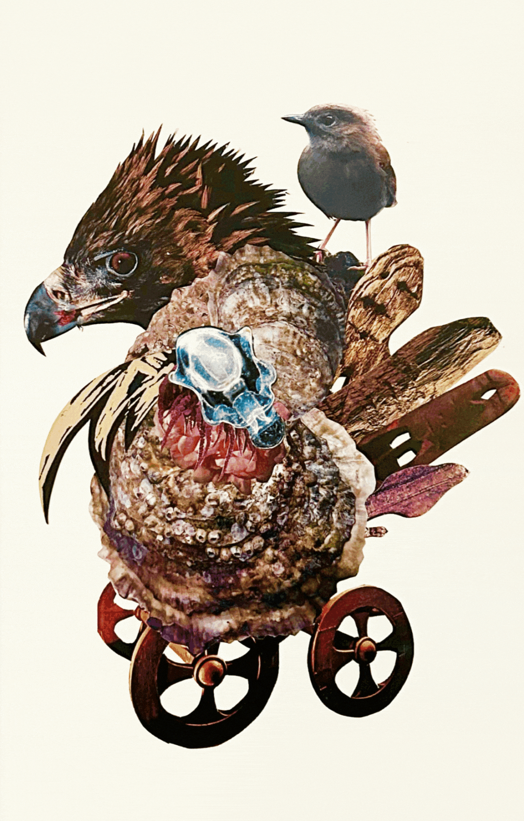 The Whole Field • Volume 3 • No. 8 • Full Moon • April 24, 2024