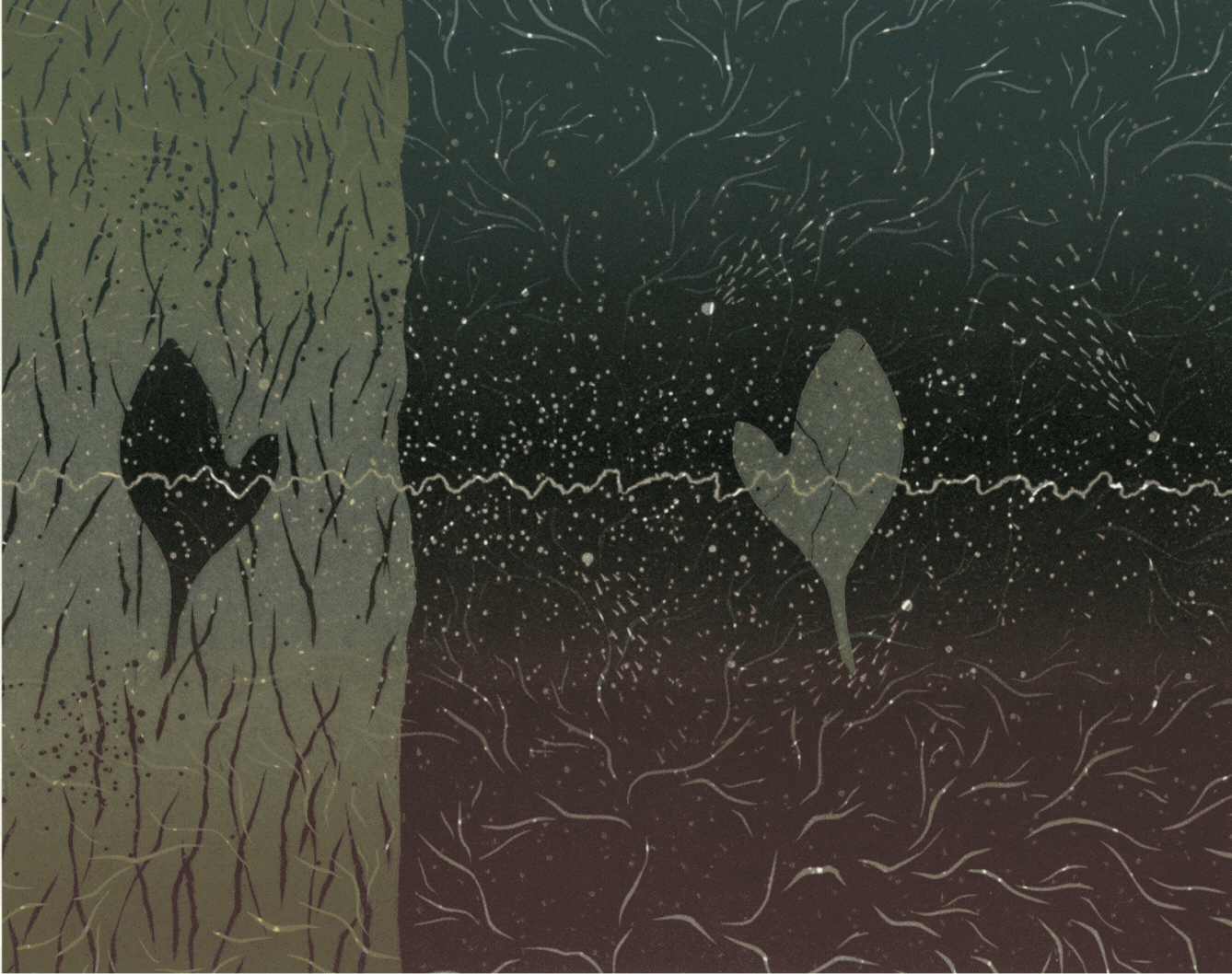 The Whole Field • Volume 3 • No. 10 • Full Moon • May 23, 2024 