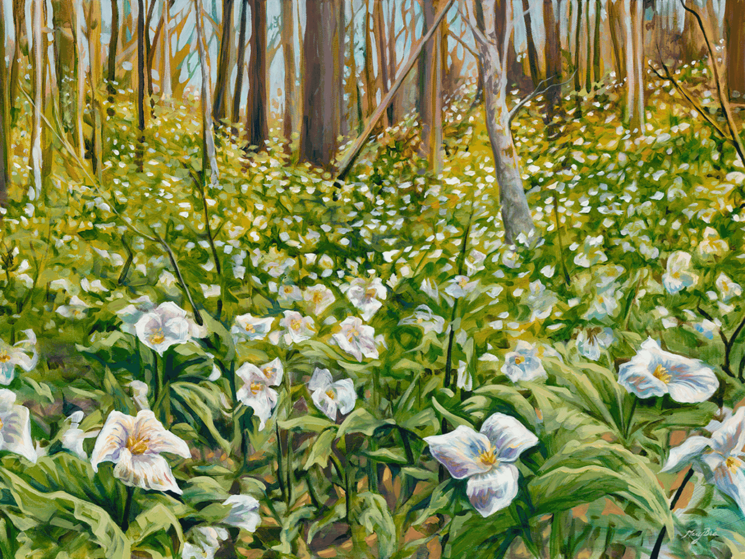 The Whole Field • Volume 3 • No. 16 • Full Moon • August 19, 2024  