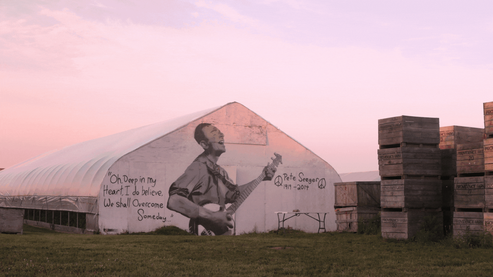 The Whole Field • Volume 3 • No. 17 • New Moon • September 2, 2024