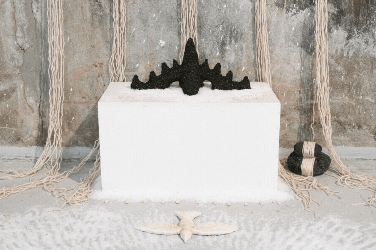 The Whole Field • Volume 3 • No. 18 • Full Moon • September 17, 2024  