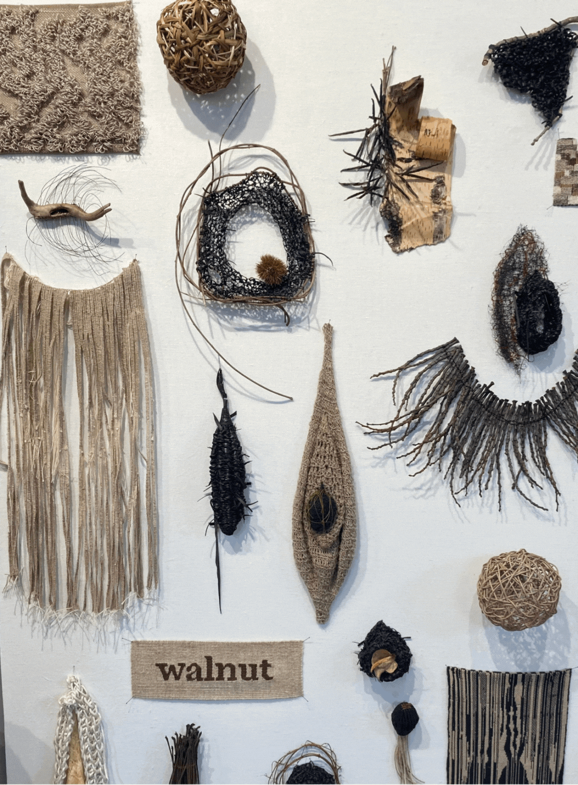 The Whole Field • Volume 3 • No. 20 • Full Moon • October 17, 2024