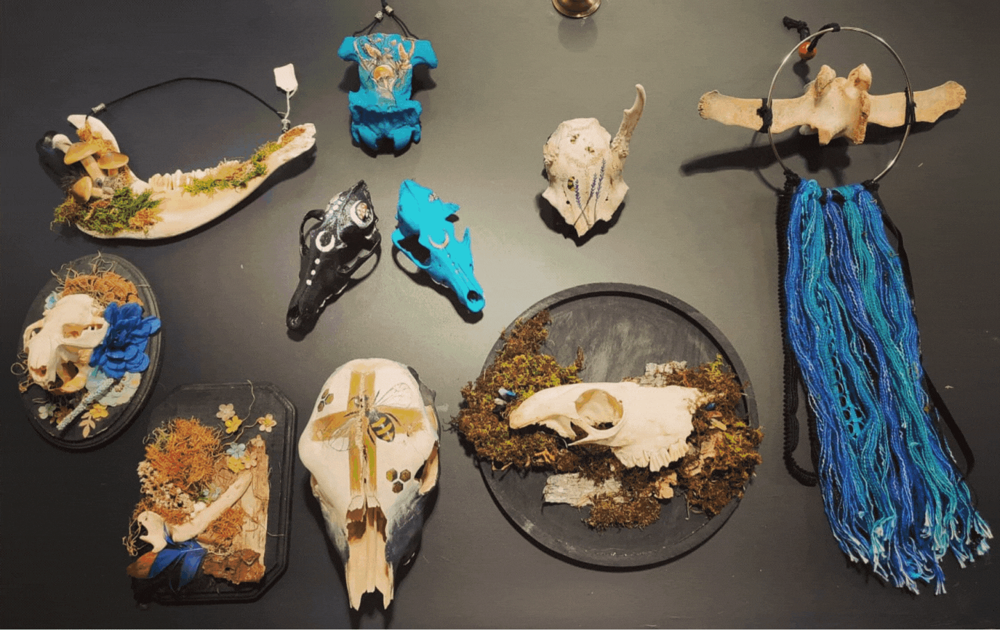 The Whole Field • Volume 3 • No. 22 • Full Moon • November 15, 2024 