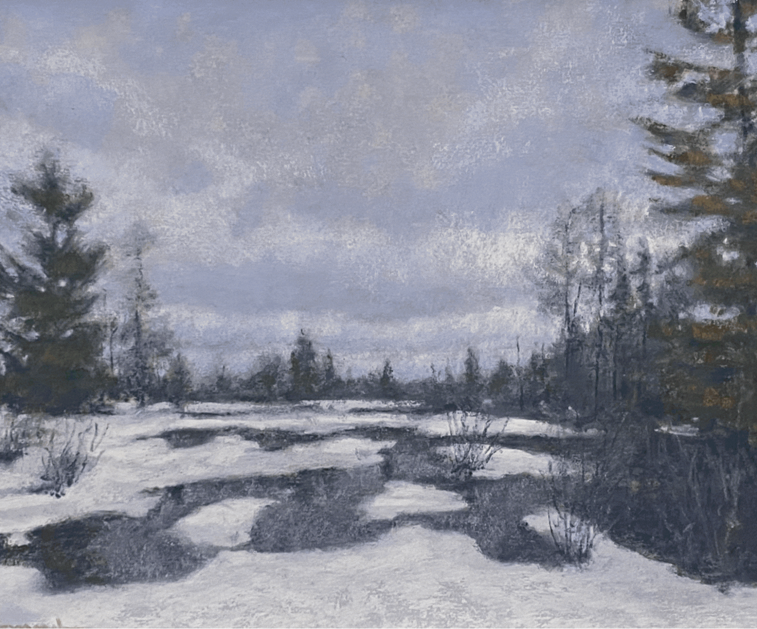 The Whole Field • Volume 3 • No. 23 • New Moon • December 1, 2024