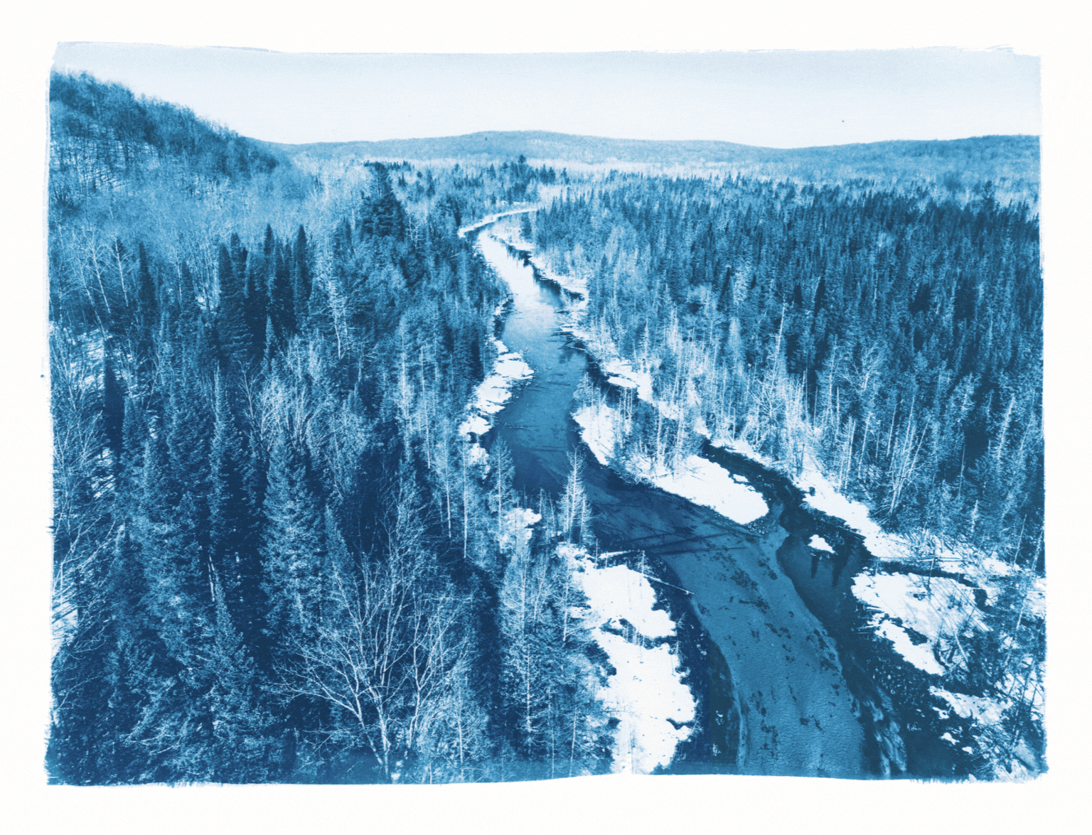 The Whole Field • Volume 4 • No. 4 • New Moon • February 27, 2025