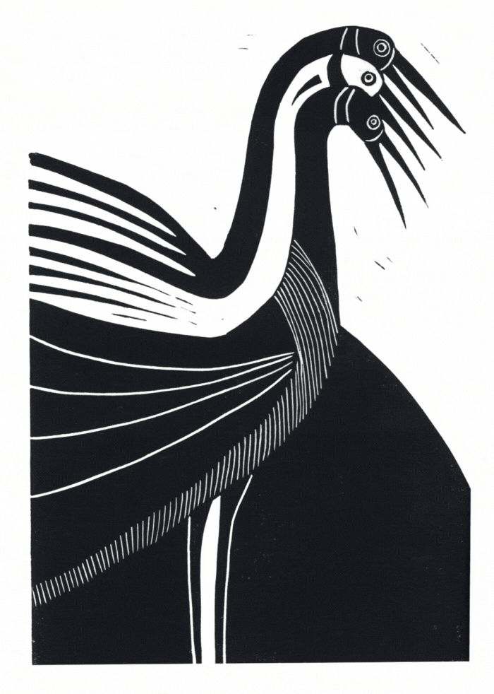 The Whole Field • Volume 4 • No. 14 • New Moon • July 24, 2025