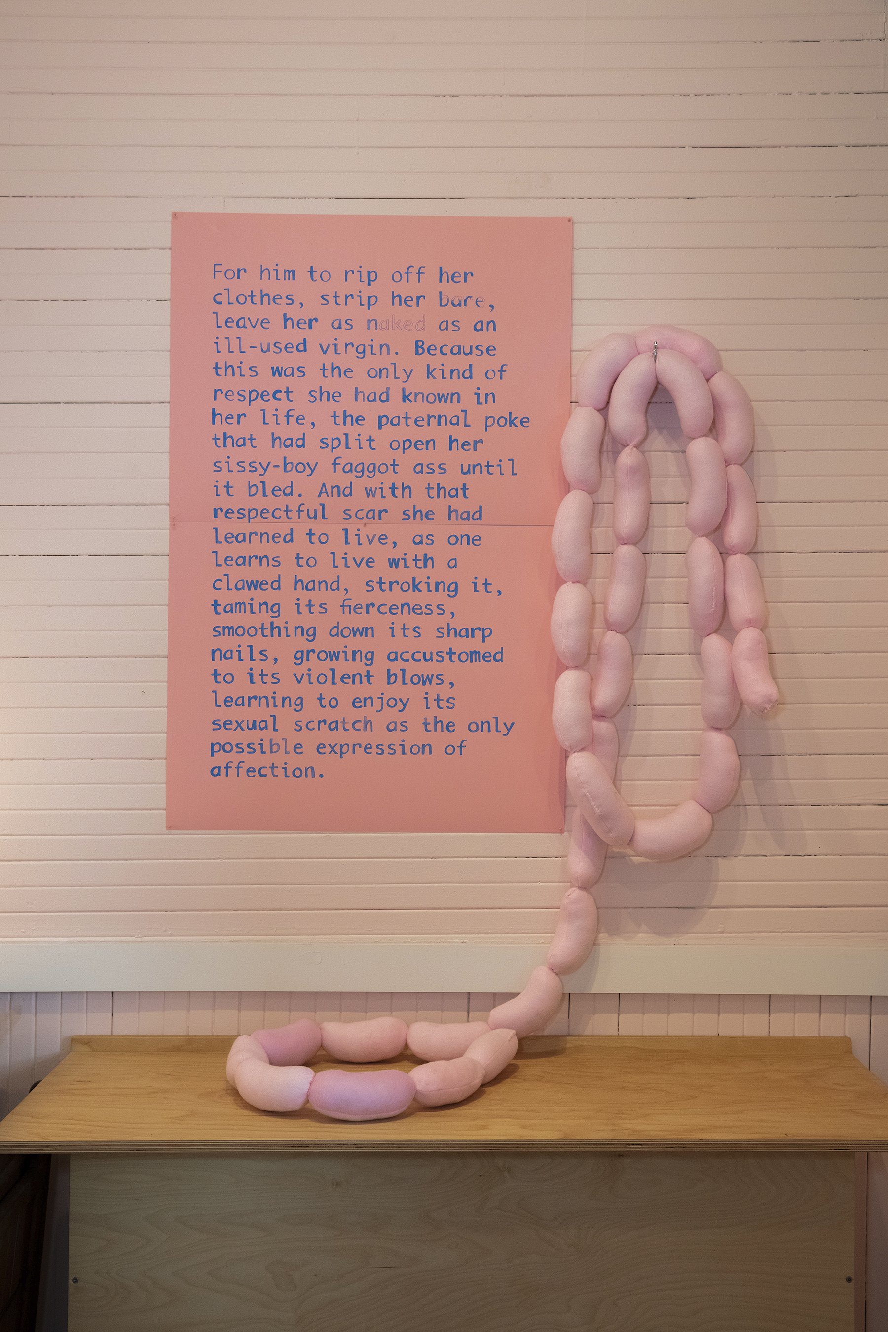  Text Drawing Excerpt from Pedro Lemebel’s  My Tender Matador   Untitled (Reading Rainbow)  | Kishka Gallery | White River Junction, VT 2021 Paint, paper, pink felt, and stuffing Dimensions variable  Photo by Mettie Ostrowski 