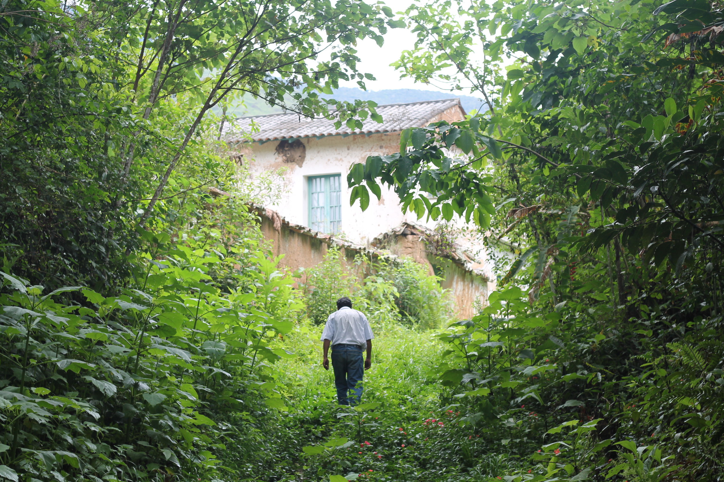 A local walks past the old hacienda at Mururata.JPG