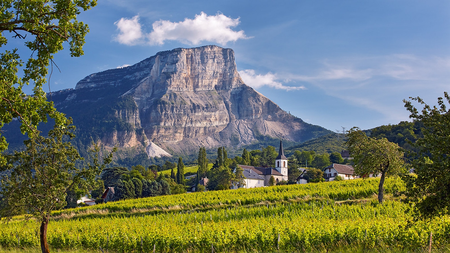 Vins de Savoie