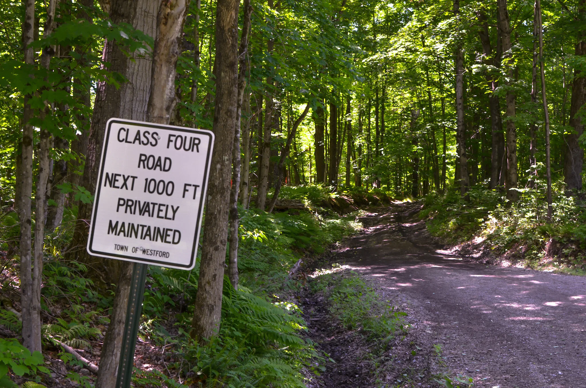 Guiding a Legacy: On the Trail with Taylor Congleton — The Journal ...