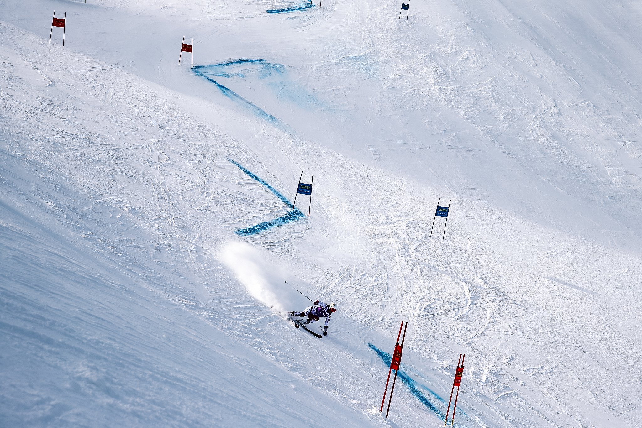 THE FIS SKI WORLD
