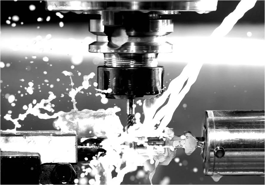 foto metalo (capa).jpg