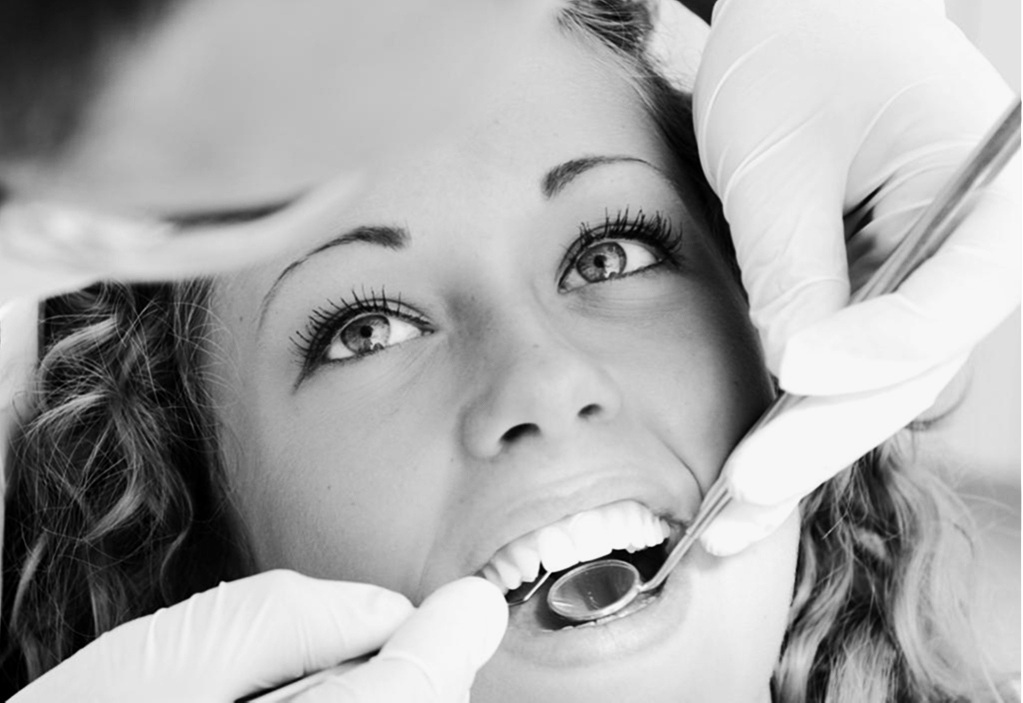 Dental+Argo+Baum.jpg