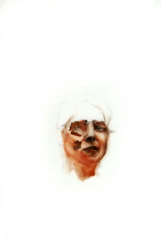 Metal Head 6 2007, multi-media on mylar, 51 x 76 cm