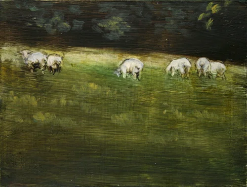 sheep4_web.jpg