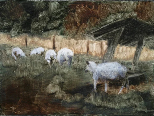 sheep9_web.jpg