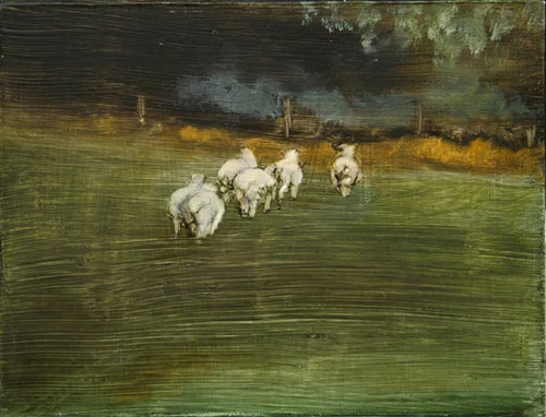sheep13_web.jpg