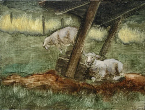 sheep16_web.jpg