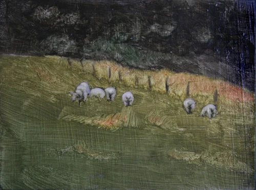 sheep18_web.jpg
