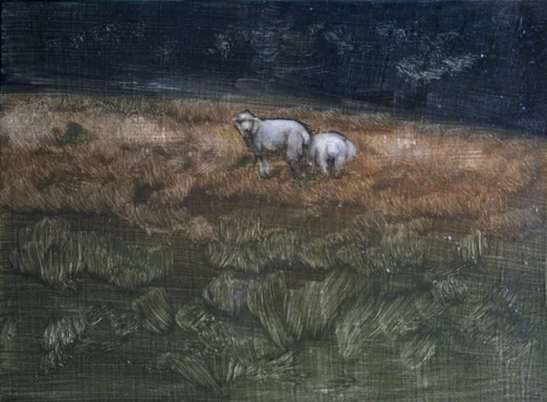 sheep21_web.jpg