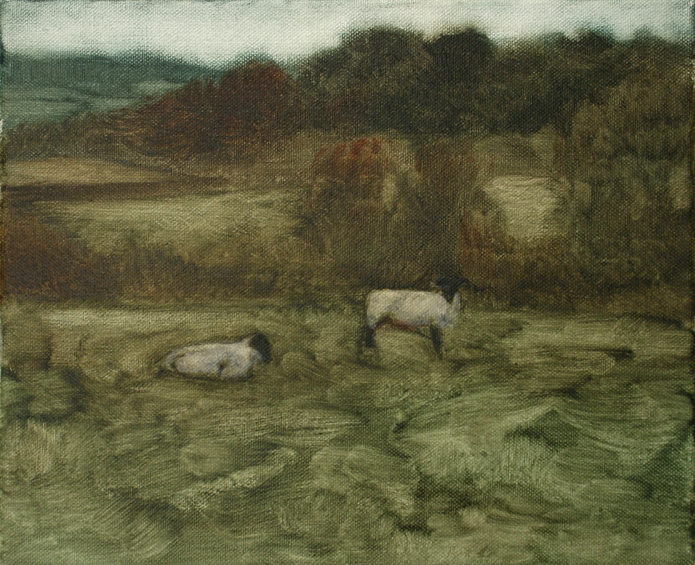 12. SOLD