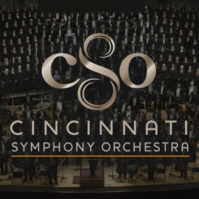 CSO logo.jpg