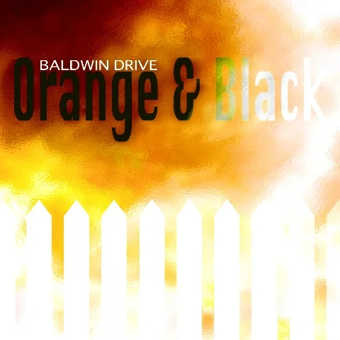 ZIP055, 2008 | Baldwin Drive "Orange & Black"