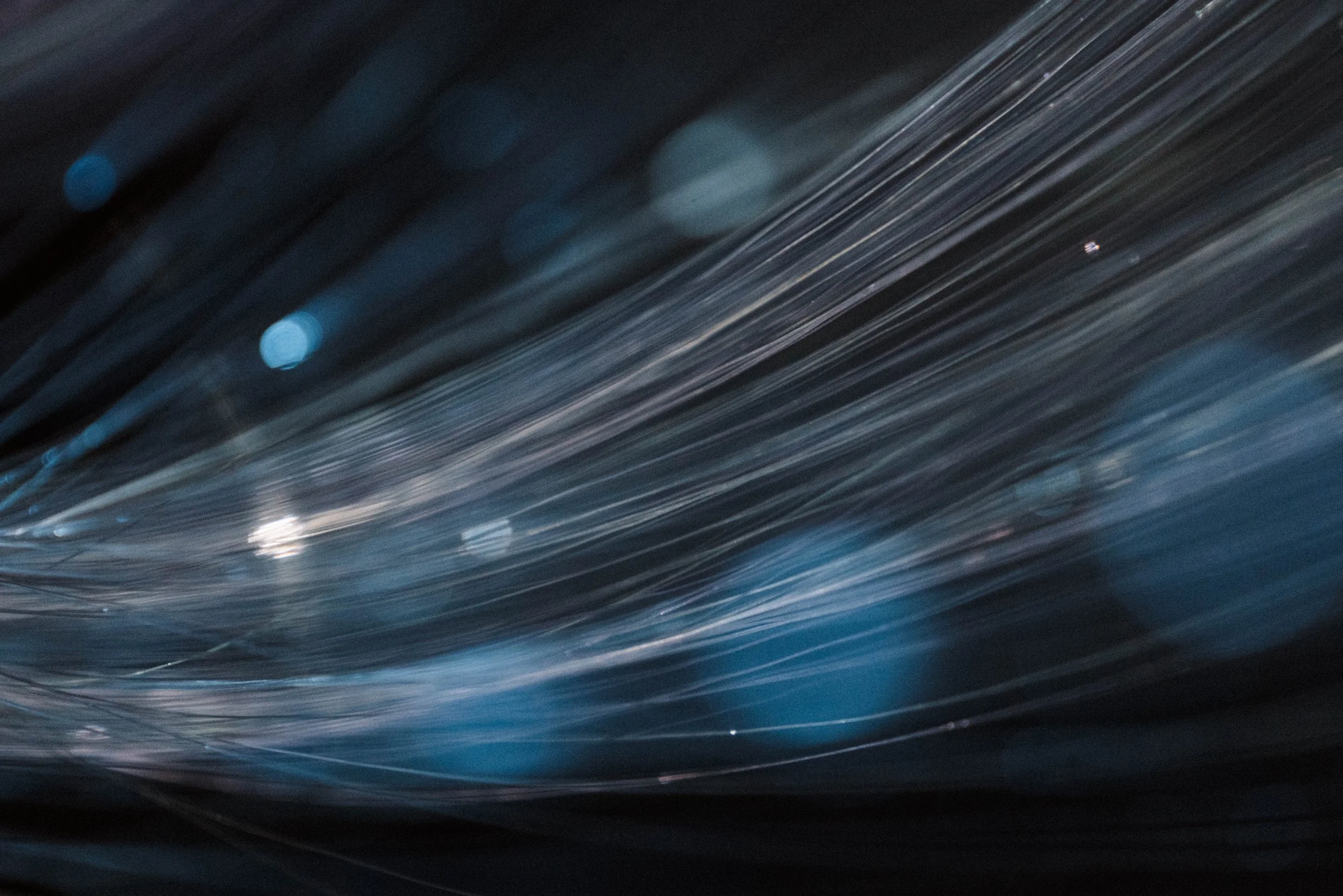 OO_close, strands.JPG